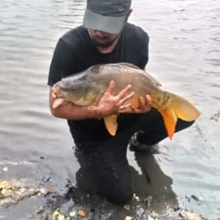 Profil de Abdulhamid